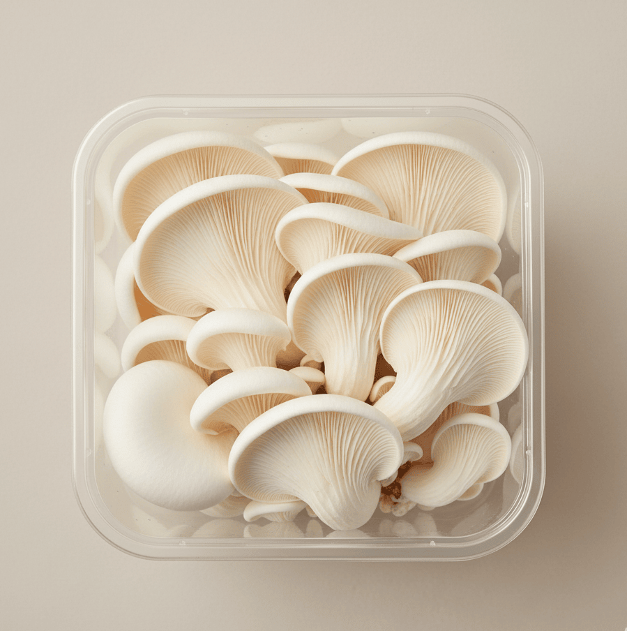 Oyster Mushrooms (White)
